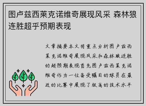 图卢兹西莱克诺维奇展现风采 森林狼连胜超乎预期表现